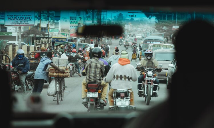 1-Day Arusha City Tour to Meserani Snake Park & Museum