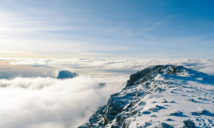 7-Day/6-Day Mount Kilimanjaro Hiking Tour via Rongai Route