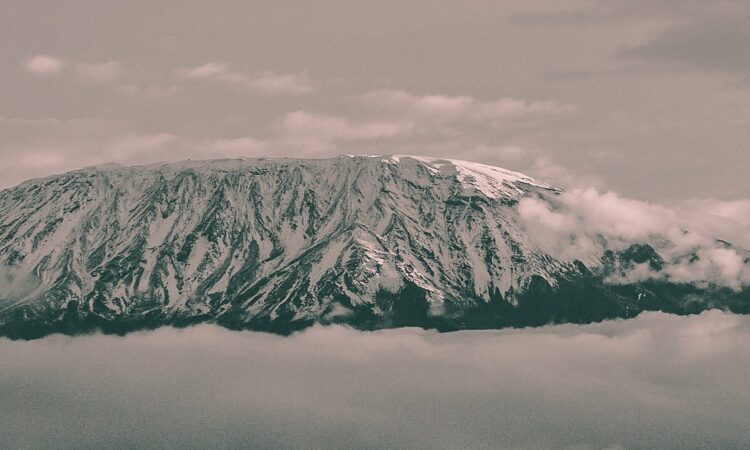 8-Day-7-Day Kilimanjaro Hiking Tour via Lemosho Route