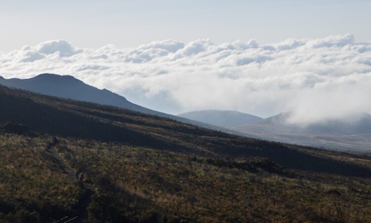 Hiking Kilimanjaro in April | Tanzania Kilimanjaro Safari