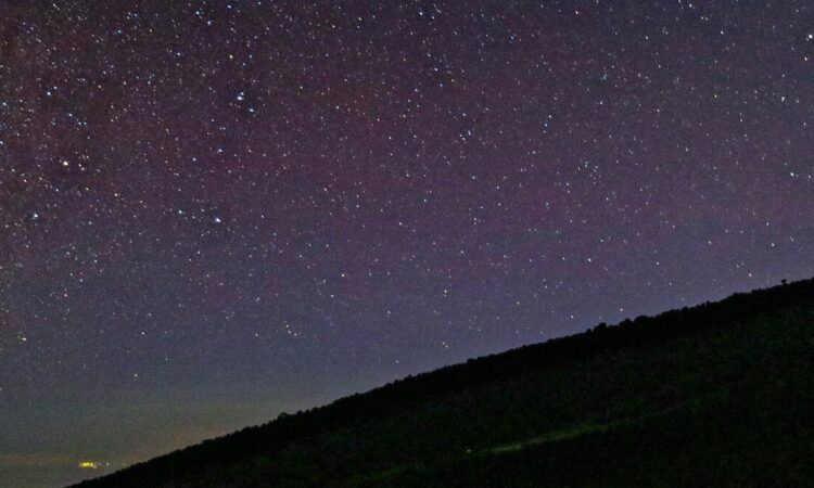 Nocturnal Walks (Night Walks) on Mount Kilimanjaro