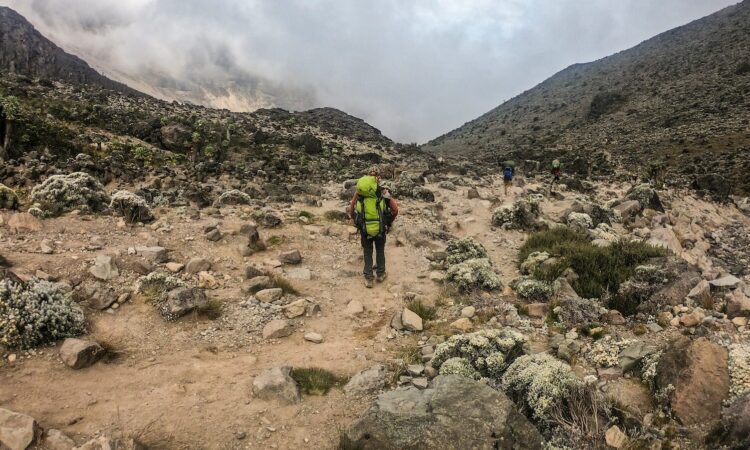 The Alpine Desert Zone of Mount Kilimanjaro in Tanzania