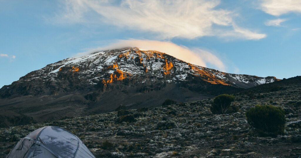 The Ecosystem of Mount Kilimanjaro National Park