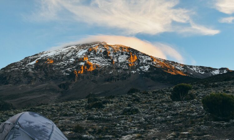 The Ecosystem of Mount Kilimanjaro National Park