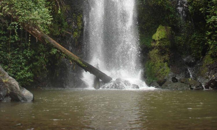 The Kilasiya Falls of the Kilimanjaro Mountain in Tanzania