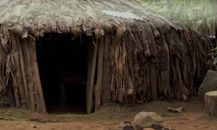 The Machame Village - Travel Guide, Activities & More