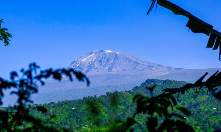 The Materuni Village & Materuni Waterfalls of Tanzania