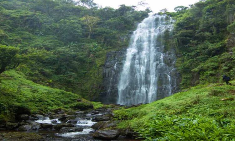 The Materuni Waterfalls (Mnambe Waterfalls) of Kilimanjaro