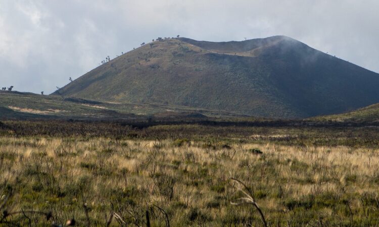 The Moorland Climate Zone of Mount Kilimanjaro