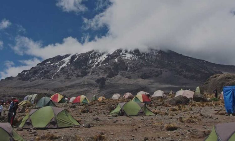 The Mti Mkubwa Camp (Big tree Camp) of Mount Kilimanjaro