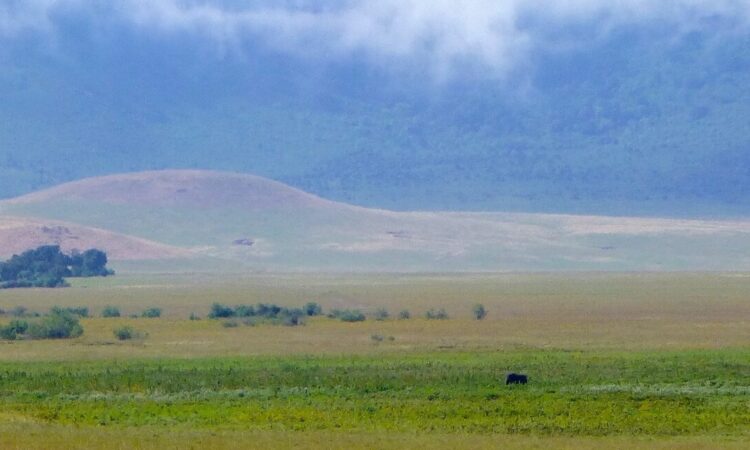 The Ngorongoro Crater in Ngorongoro Conservation Area